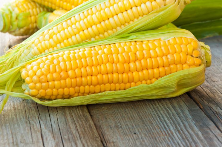 corn (2)